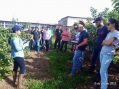 Curso de Engenharia Agronômica firma parceria com Asilo Recanto São Vicente de Paula